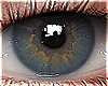 Eyes | Hazel Blue