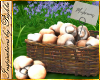 I~Basket*Mushrooms