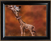 (20D) Giraffe and baby
