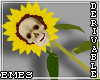 Skull Sunflower Hand Lf