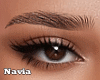 Brows T1