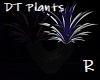 DT Planter Exc