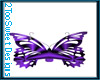 Sweet Purple Butterfly 