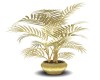 Gold-plant