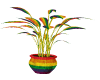 AS Pride Plant