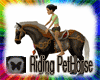 Riding Pet Horse