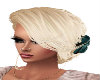 Fanny Winter Wheat