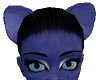 [AG] Blueberry Ears