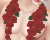 body roses