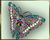 (A1)Wilma butterfly fron