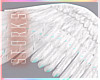S| LB Wings
