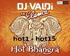 DJ Valdi Hot Bhangra