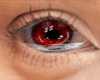 Tears Twilight Eyes M/F