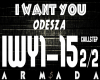 I Want You-Odesza (2)