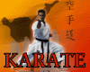KARATE ACTIONS