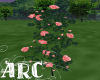 ARC Bright Red Roses