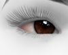 brown doe eyes<3