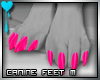 D~Canine Feet:Pink M