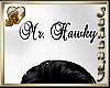 "S" MR HAWKY HEAD SIGN
