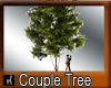 Couple Tree