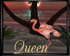 !Q Aimated Flamingo