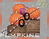 Pumpkins 4a Ⓚ