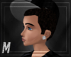 Diamond Male Earrings