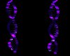Purple Rave DNA Strands