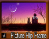 Picture Flip Frame