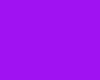 Purple bg