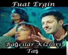 Fuat Ergin- music