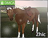 !Zh Horse Mr.Brown