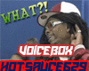 SwagCelebrity VoiceBox 1