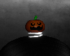 bouncy pumpkin ♡