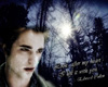 Twilight ~Edward~