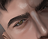 T. Eyebrow XI