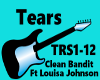 TEARS / CLEAN BANDIT