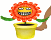 Flower Pot Pets w/Trigs