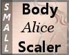 Body Scaler Alice S