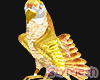 Golden Parrot