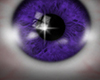 -SWD- Purple Eyes 