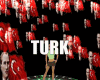 Turkish flag Effects-X