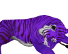 â¢ Tiger Brush Purple