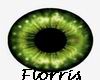F> Efeno Eyes
