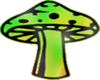 Psychodelic Mushroom