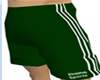 Green/White Shorts