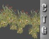 CTG  WILDFLOWERS V2
