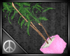 ☮ | Pink Plant