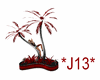 *J13* Red Palms