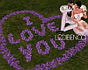 Petals Purple & Pose